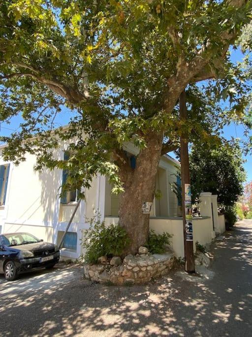ואמוס Yioklima - Renovated Neoclassical House With Two Bedrooms מראה חיצוני תמונה